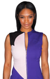 Sleeveless Front Zipper Color Blocked Fitted Sheath Dress